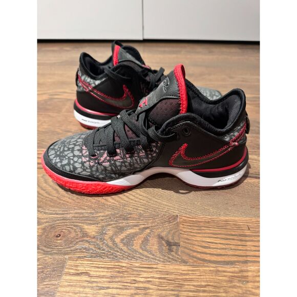 Nike Other - Nike Faze Clan x Zoom Lebron NXXT Gen Bred